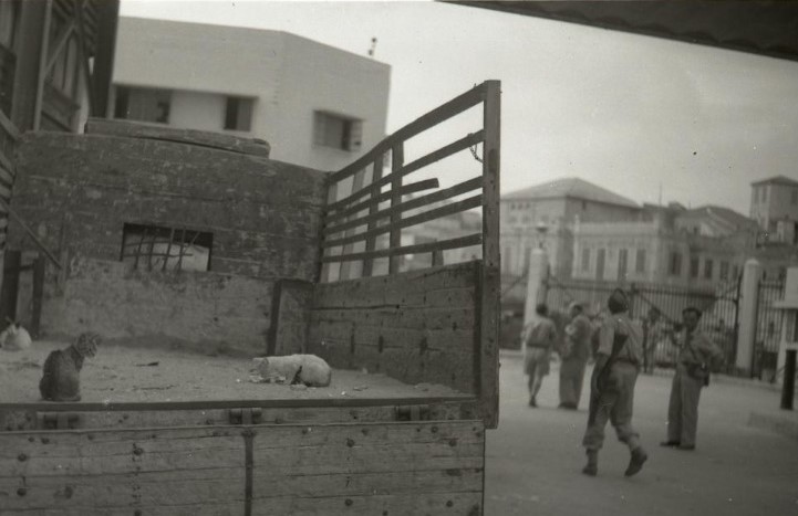 WhatsApp Image 2020-10-18 at 3.53.48 PM (2).jpeg.jpeg